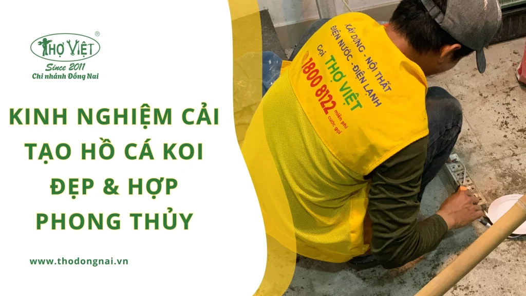 Kinh nghiệm cải tạo hồ cá Koi đẹp & hợp phong thủy