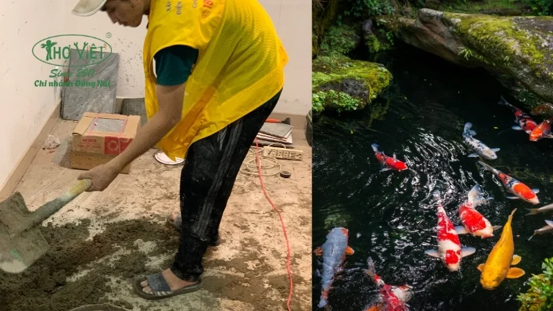 cải tạo hồ cá koi
