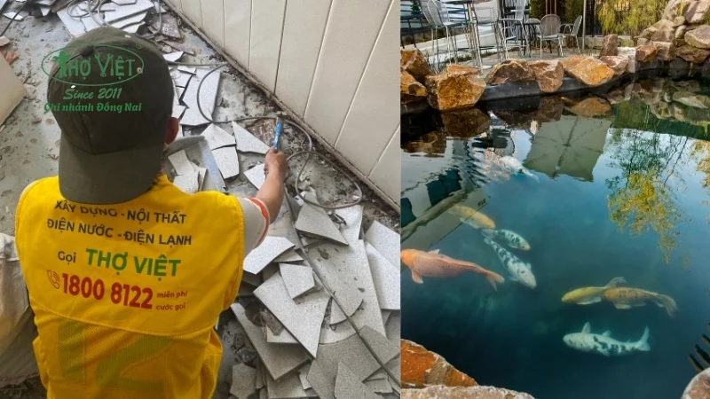 kinh nghiệm cải tạo hồ cá koi