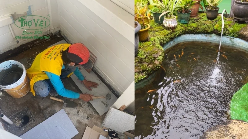 lợi ích cải tạo hồ cá koi