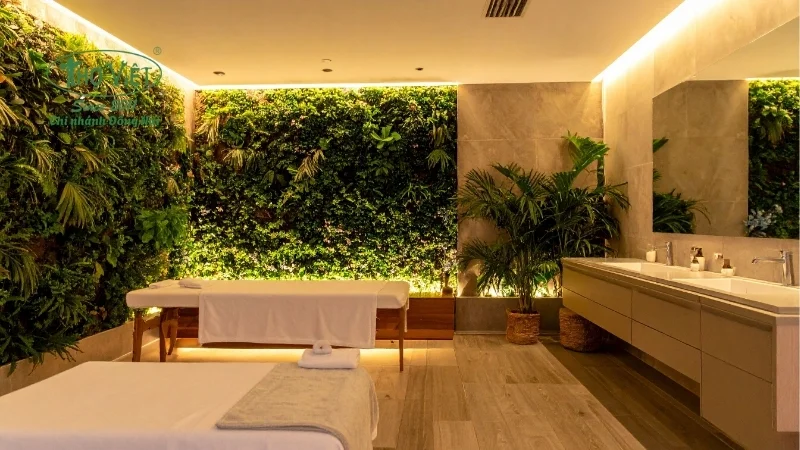 Mẫu spa