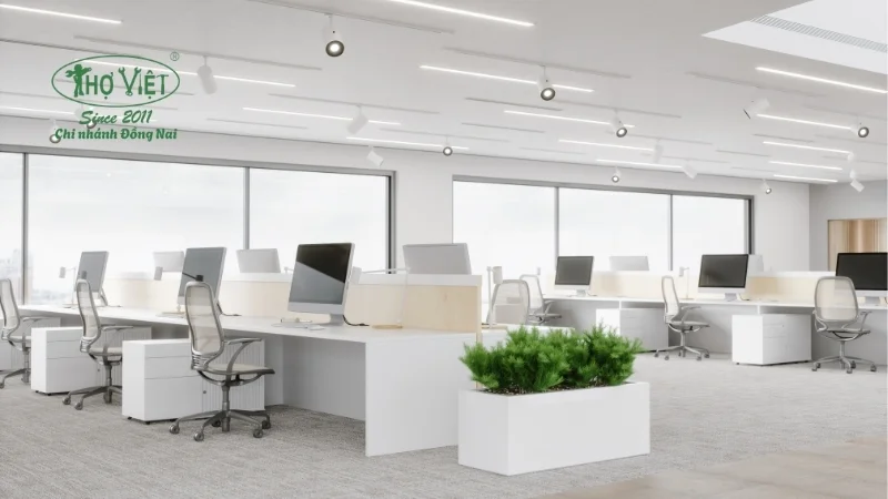 Mẫu cải tạo văn phòng