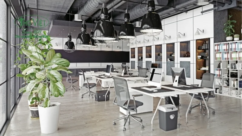 Mẫu cải tạo văn phòng