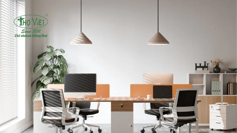 Mẫu cải tạo văn phòng