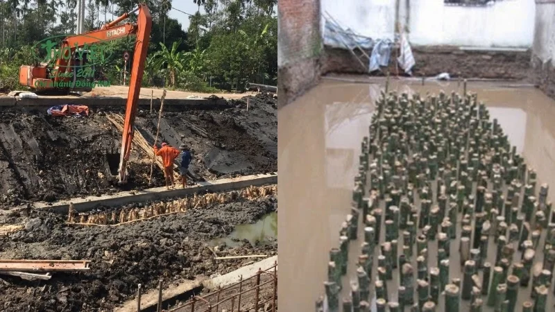 Móng cọc cừ tràm