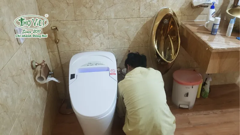 Câu hỏi thường gặp